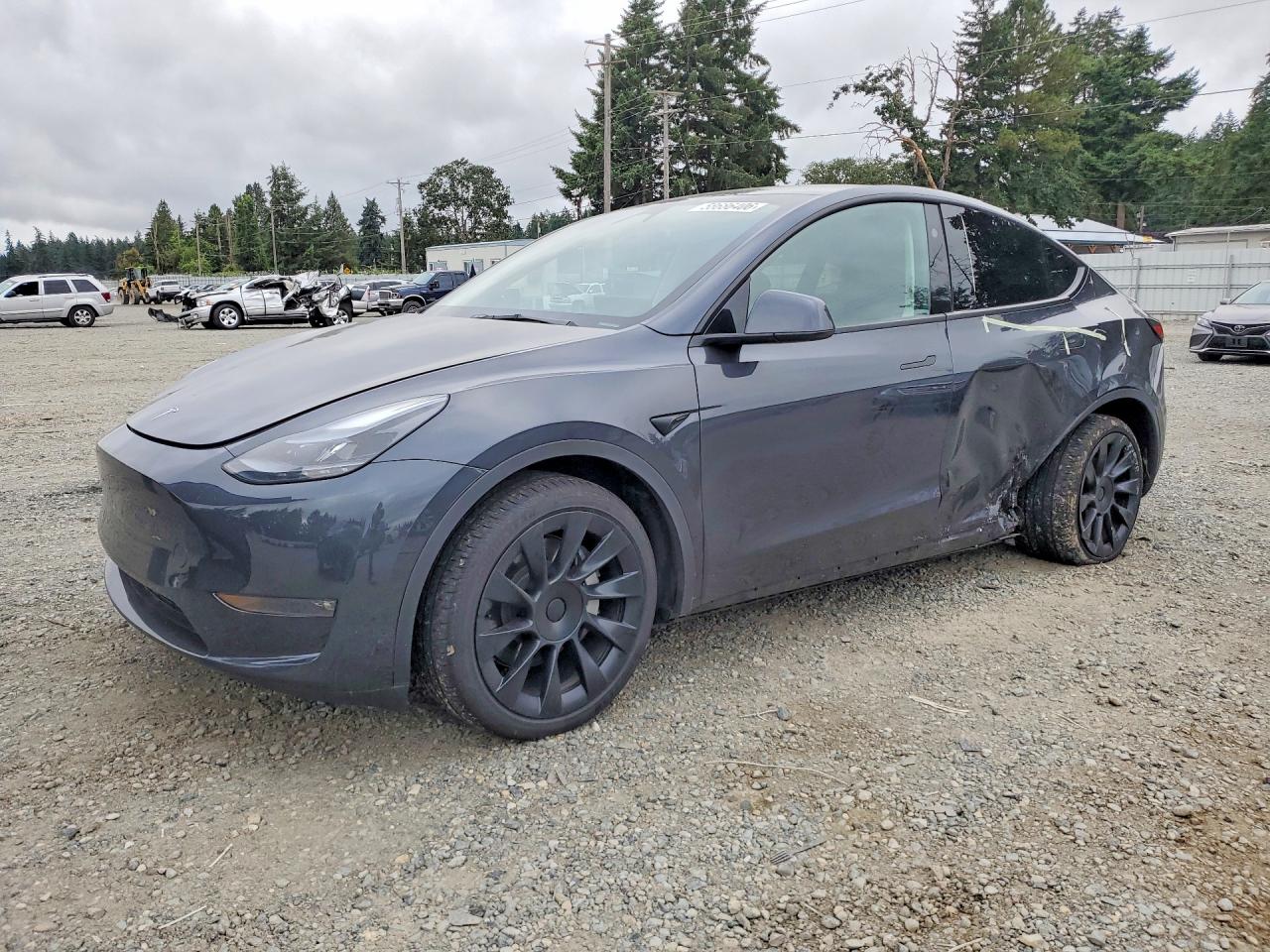 2025 TESLA MODEL Y