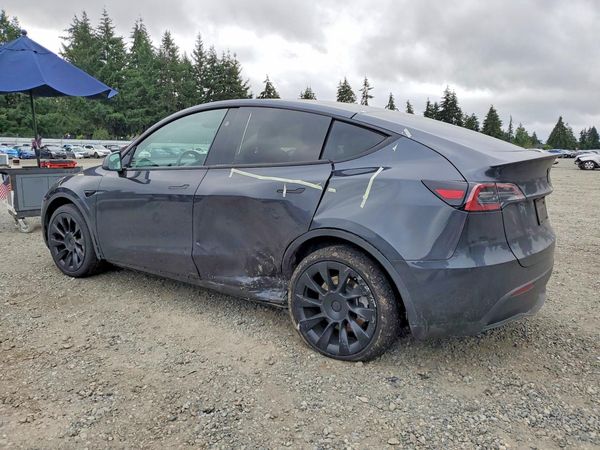 2025 TESLA MODEL Y
