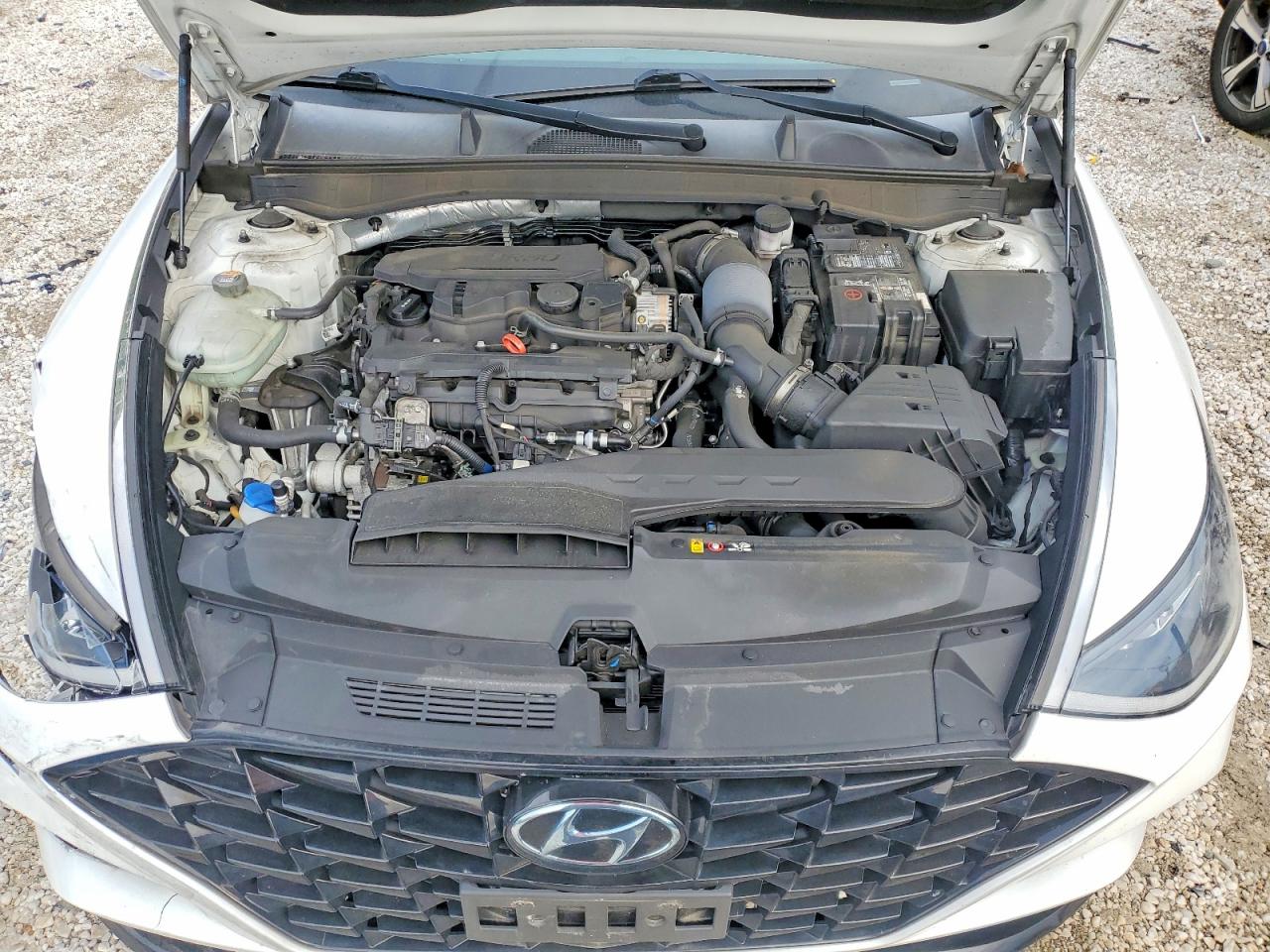 2020 HYUNDAI SONATA SEL Plus, SEL Plus Tech