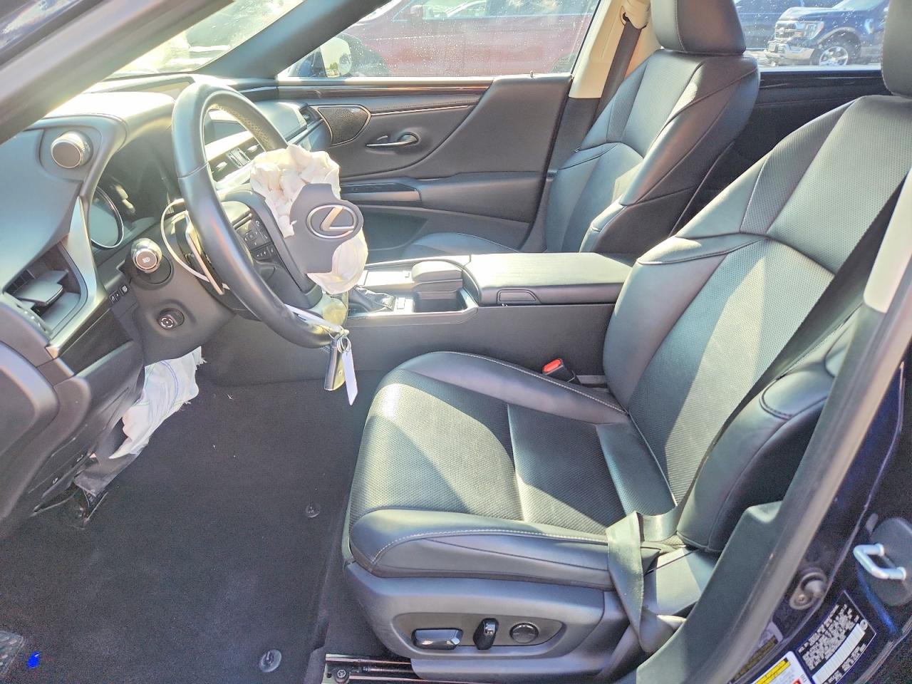 2019 LEXUS ES 300h