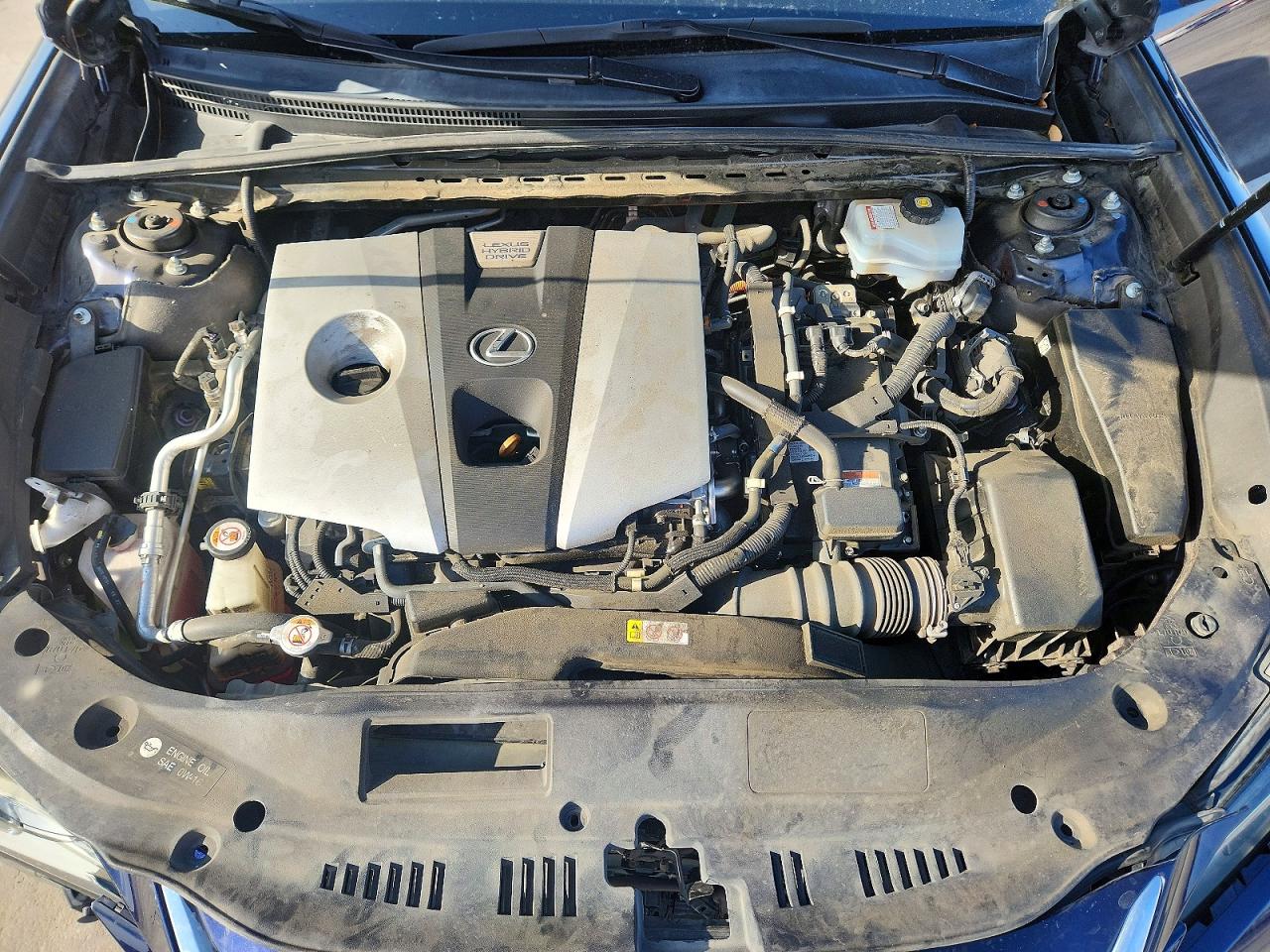 2019 LEXUS ES 300h