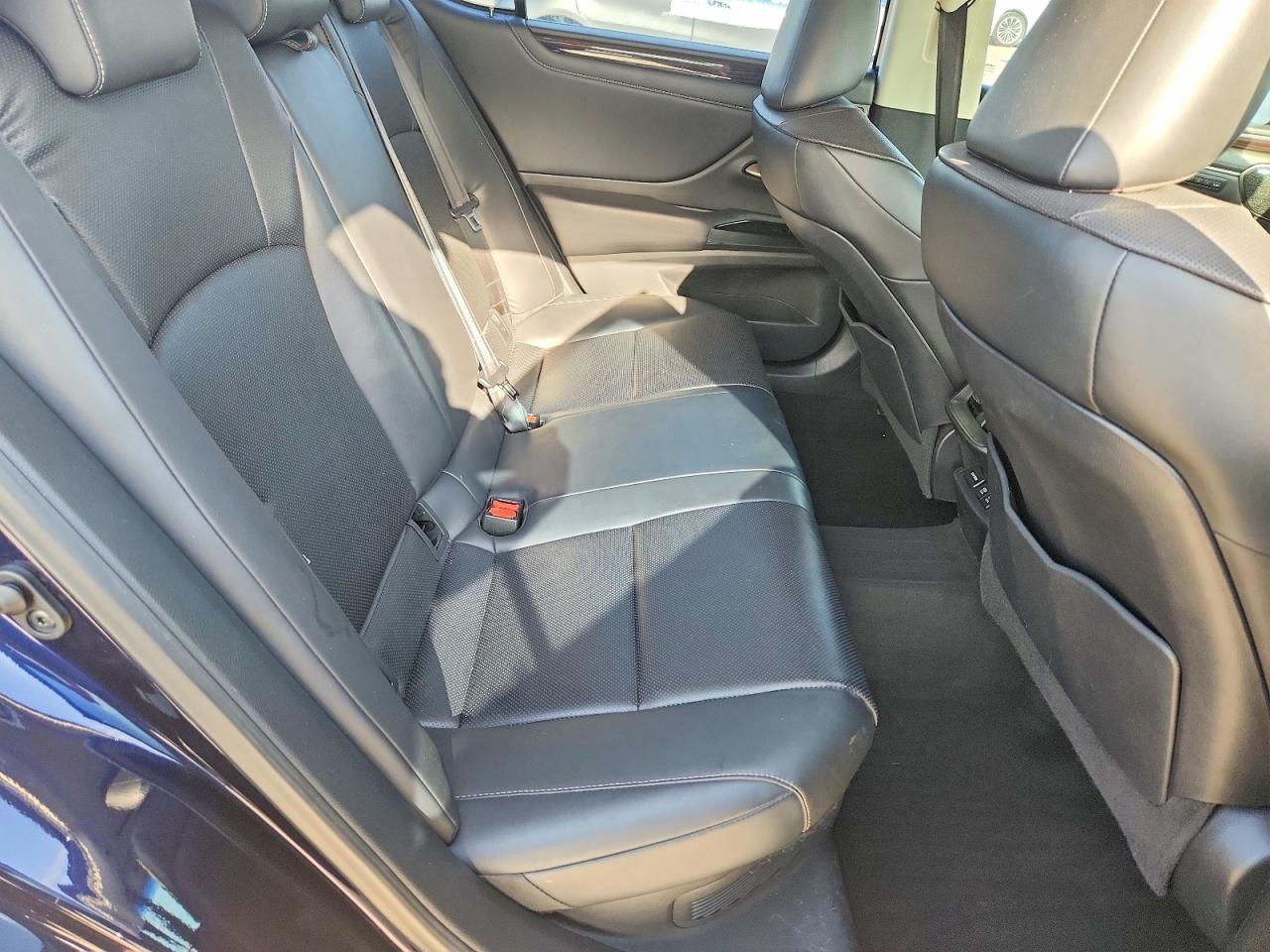 2019 LEXUS ES 300h