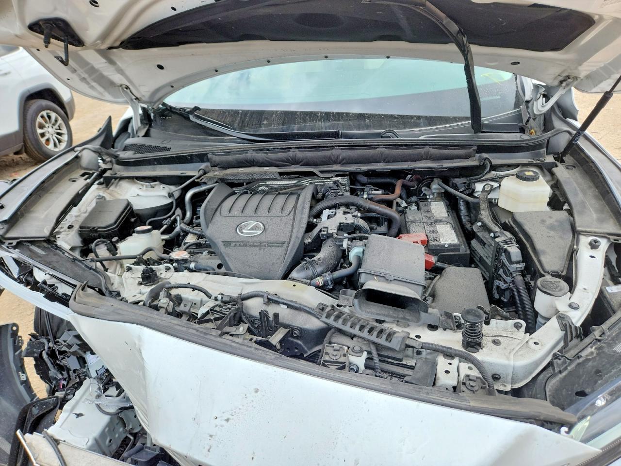 2024 LEXUS RX 350