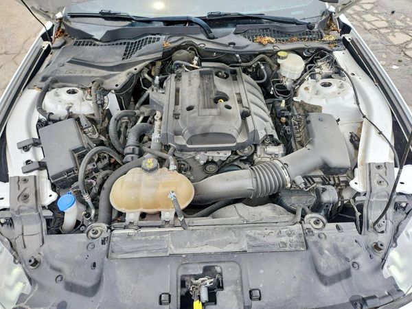 2020 FORD MUSTANG I4 Coupe