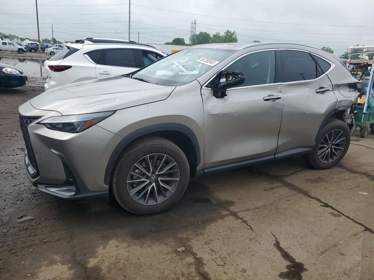 2025 LEXUS NX