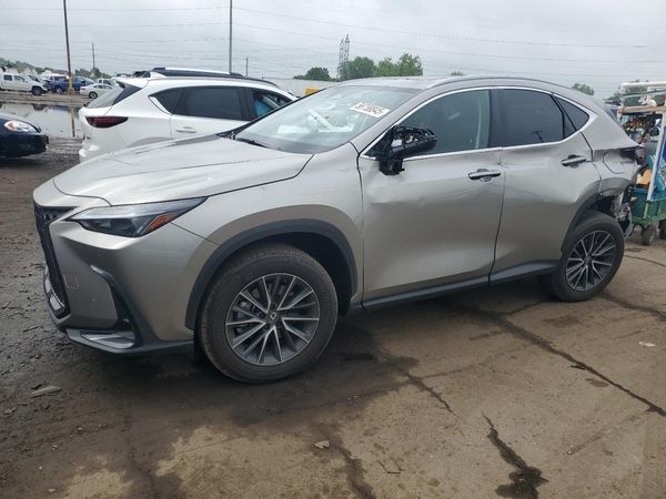 2025 LEXUS NX