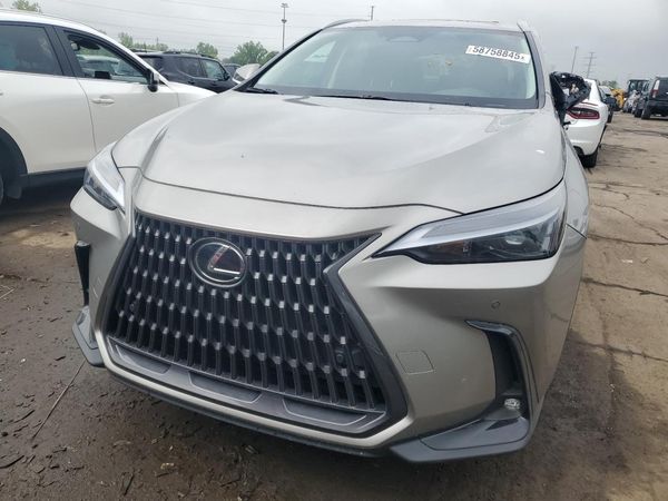 2025 LEXUS NX