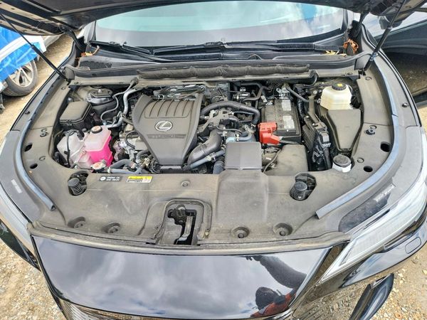 2024 LEXUS RX 350
