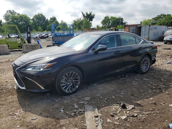 2025 LEXUS ES 350 350 Luxury