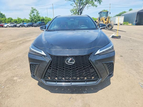 2023 LEXUS NX 350 F Sport Handling