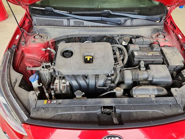 2019 KIA FORTE S/GT Line