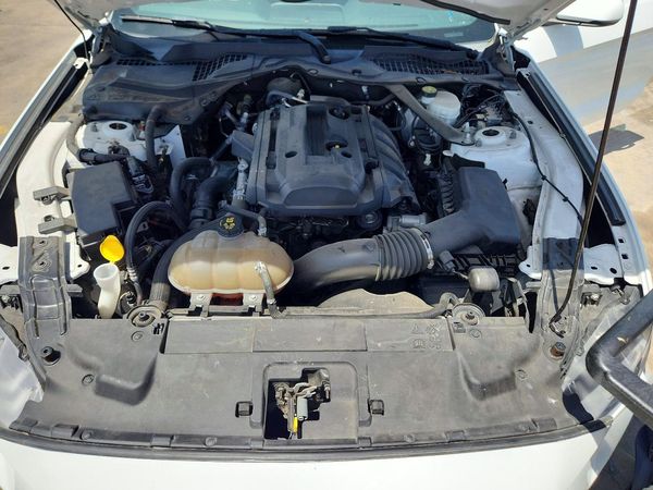 2019 FORD MUSTANG I4 Convertible