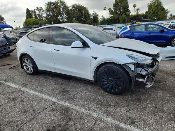 2021 TESLA MODEL Y