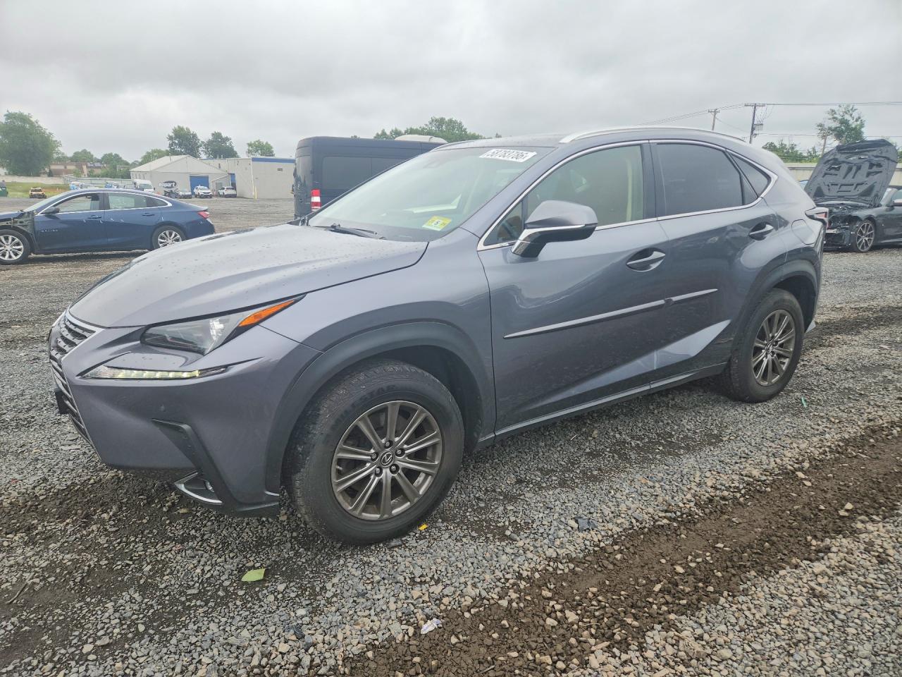 2019 LEXUS NX 300 300 Luxury