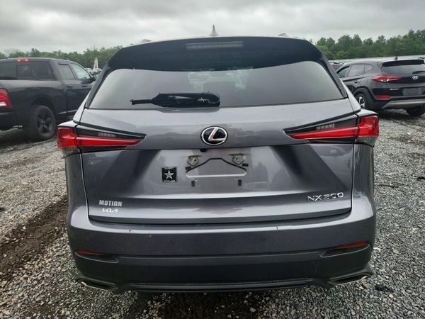 2019 LEXUS NX 300 300 Luxury