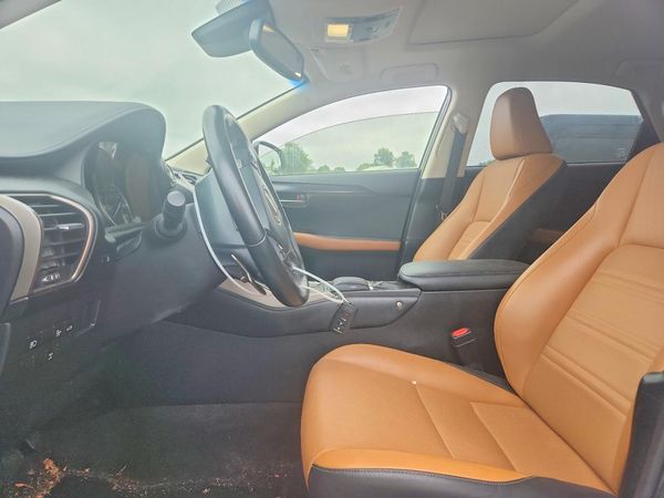 2019 LEXUS NX 300 300 Luxury