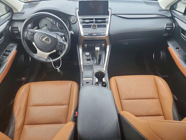 2019 LEXUS NX 300 300 Luxury