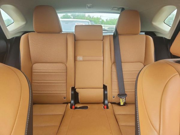 2019 LEXUS NX 300 300 Luxury
