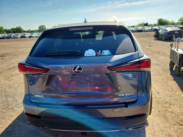 2019 LEXUS NX
