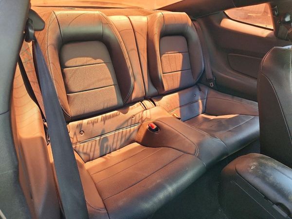 2019 FORD MUSTANG