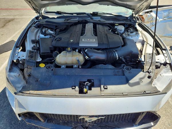 2019 FORD MUSTANG