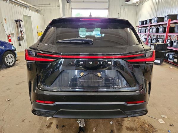 2024 LEXUS NX 350 Premium
