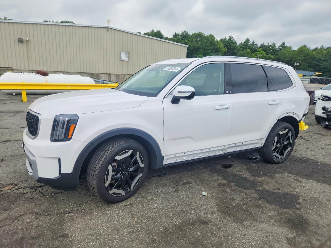 2025 KIA TELLURIDE