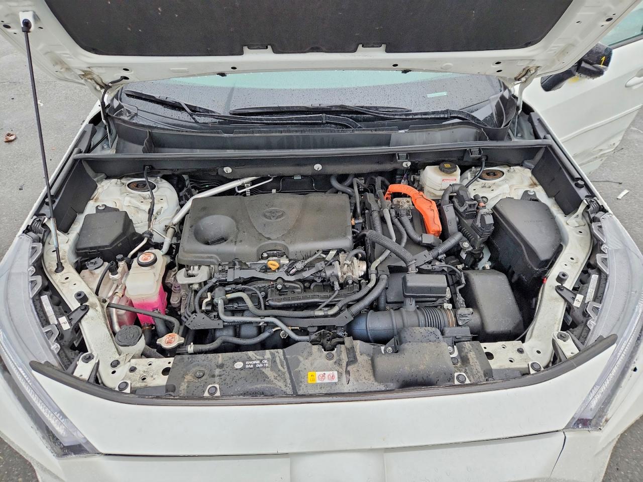 2024 TOYOTA RAV4 XSE