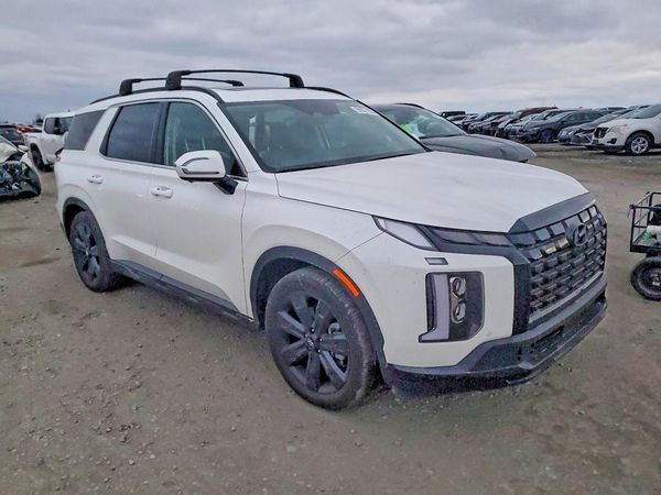 2025 HYUNDAI PALISADE XRT
