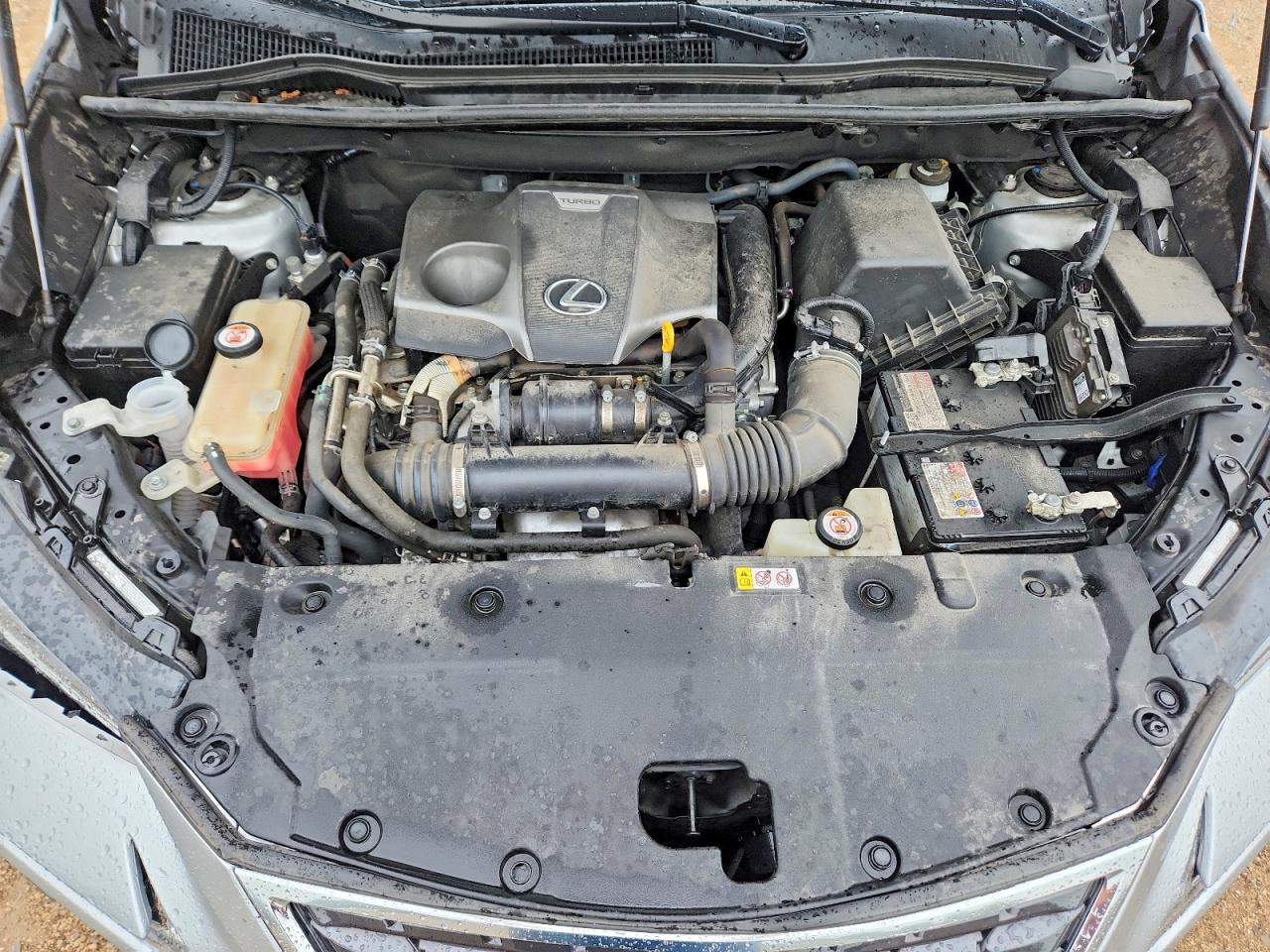 2019 LEXUS NX 300 300 Luxury