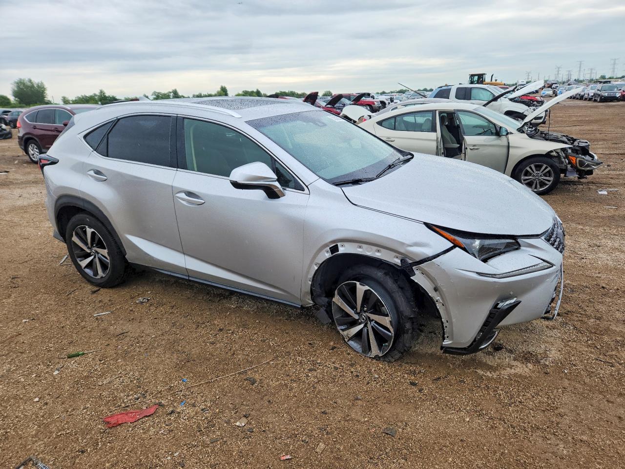 2019 LEXUS NX 300 300 Luxury