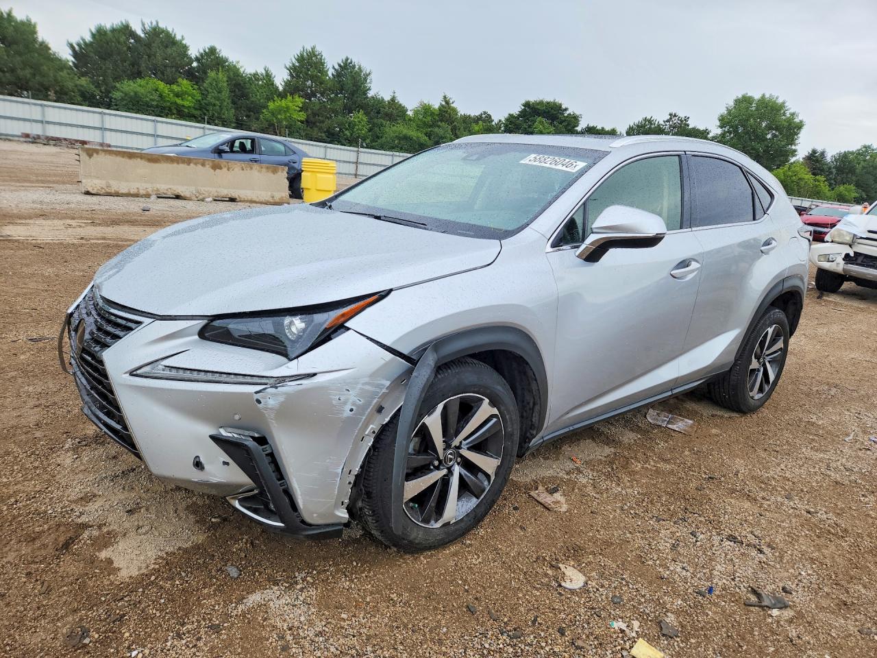 2019 LEXUS NX 300 300 Luxury