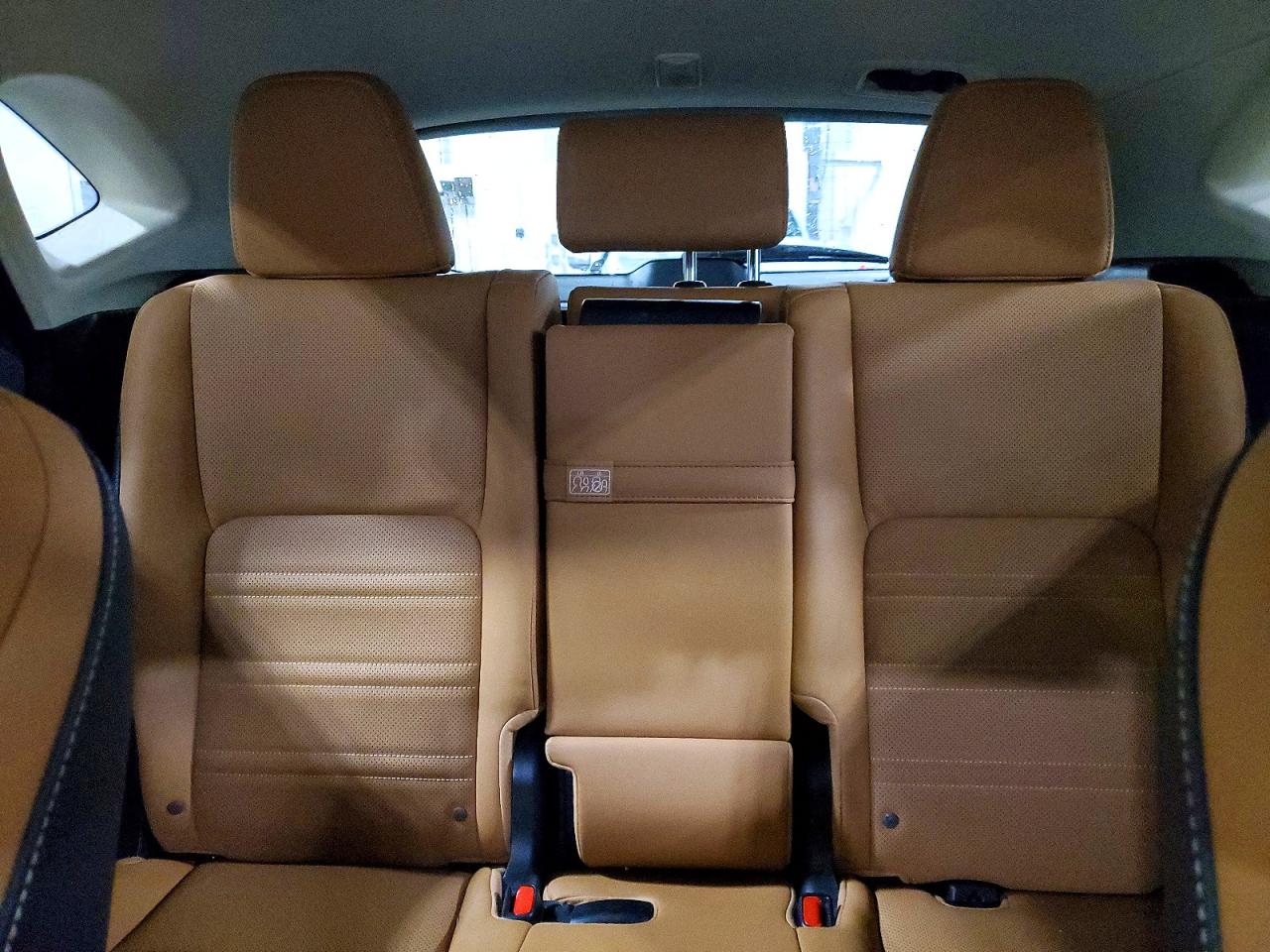 2020 LEXUS NX 300H Premium