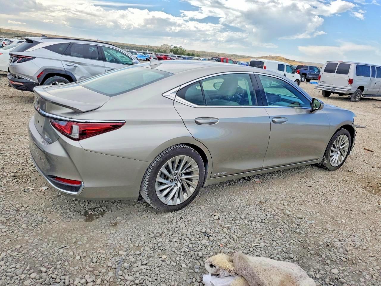 2020 LEXUS ES 300h Luxury