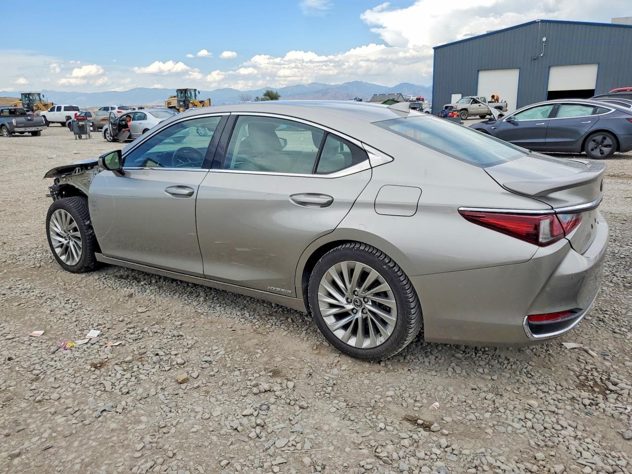 2020 LEXUS ES 300h Luxury