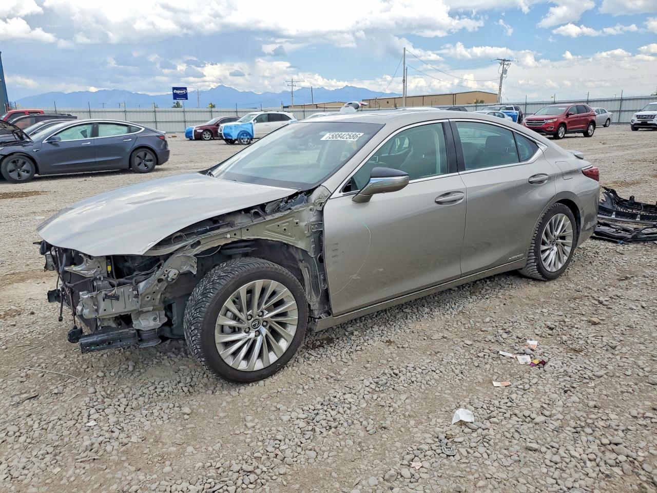 2020 LEXUS ES 300h Luxury