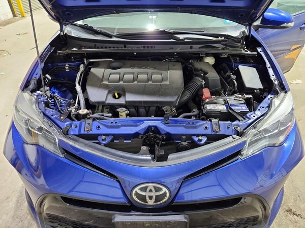 2019 TOYOTA COROLLA