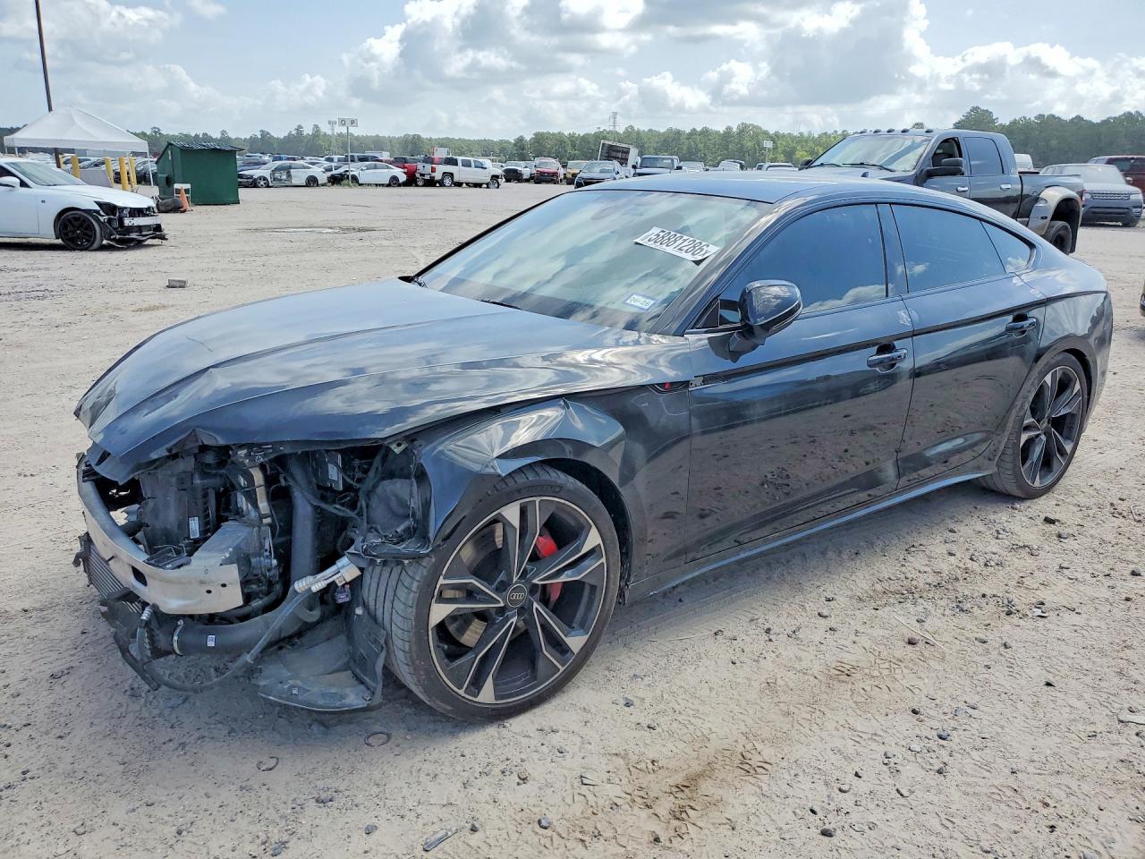 2024 AUDI S5 quattro Premium Plus