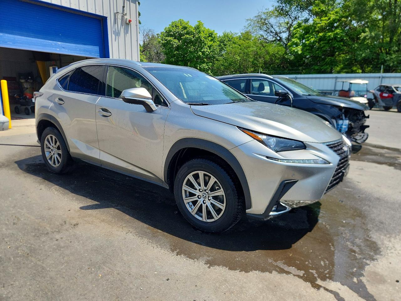 2019 LEXUS NX 300 300 Luxury