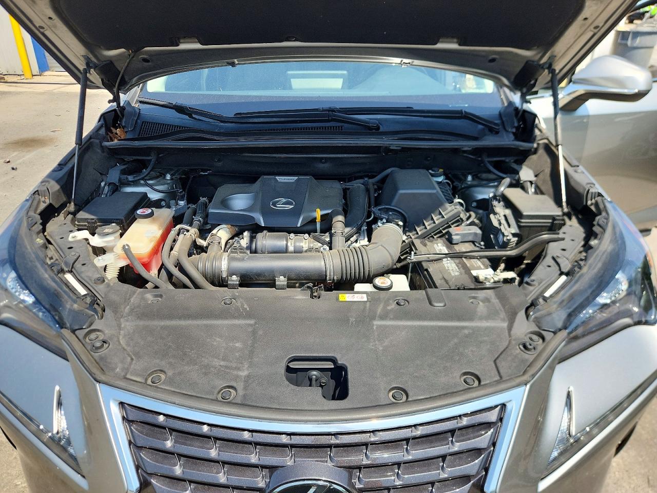 2019 LEXUS NX 300 300 Luxury