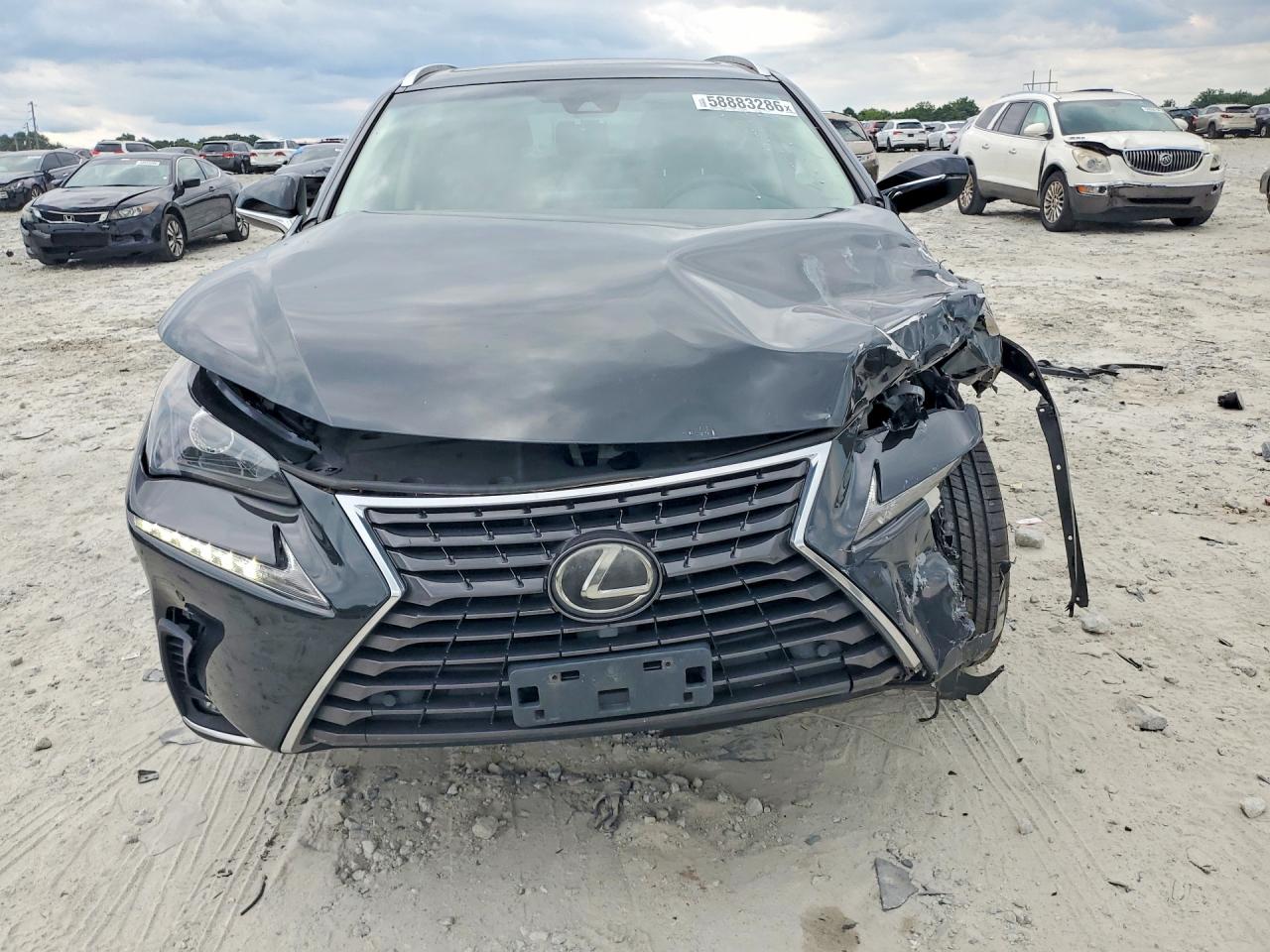 2019 LEXUS NX 300 300 Luxury
