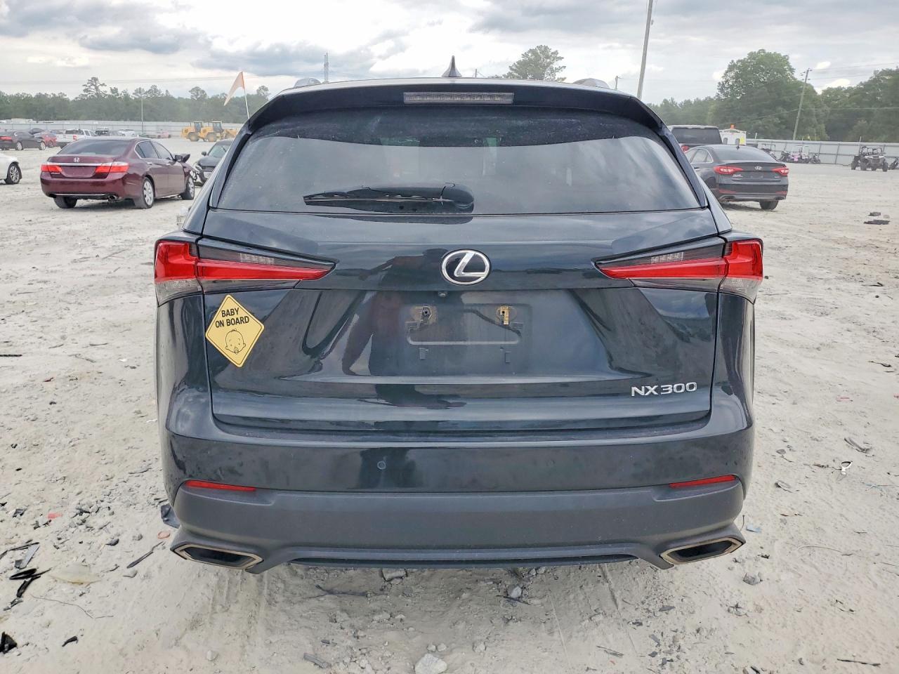 2019 LEXUS NX 300 300 Luxury