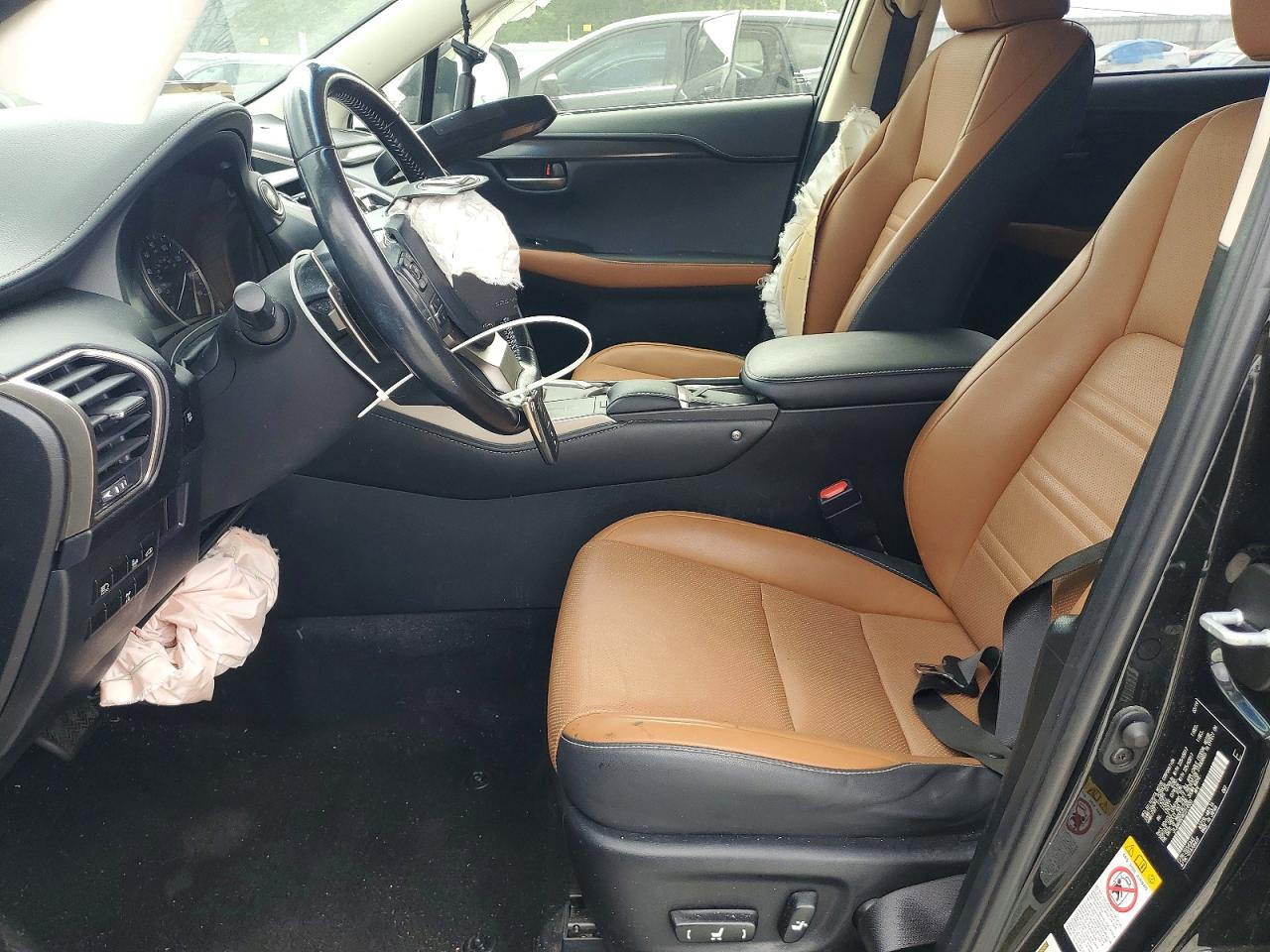 2019 LEXUS NX 300 300 Luxury
