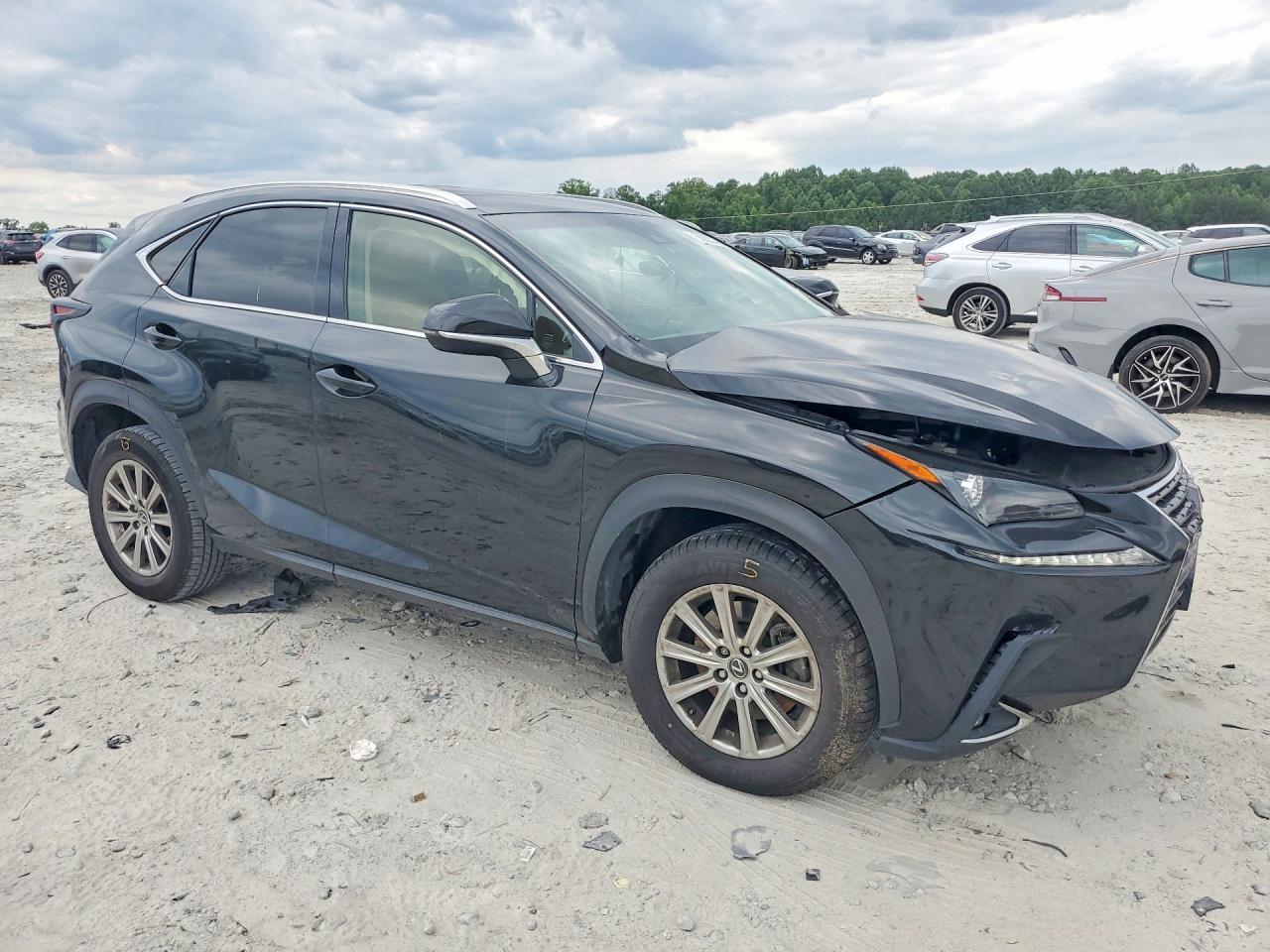 2019 LEXUS NX 300 300 Luxury