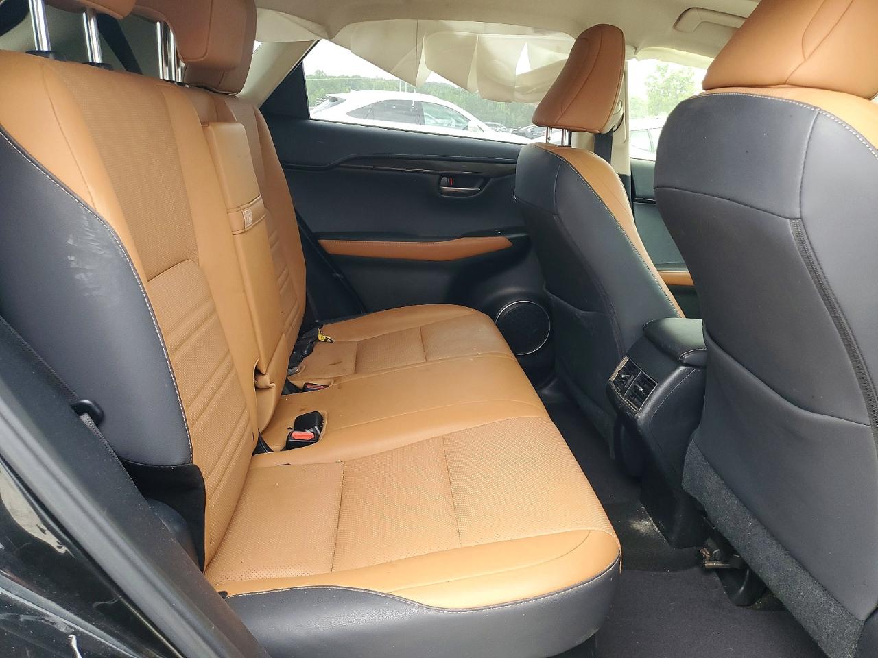 2019 LEXUS NX 300 300 Luxury