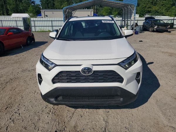 2025 TOYOTA RAV4 XLE — DIRF