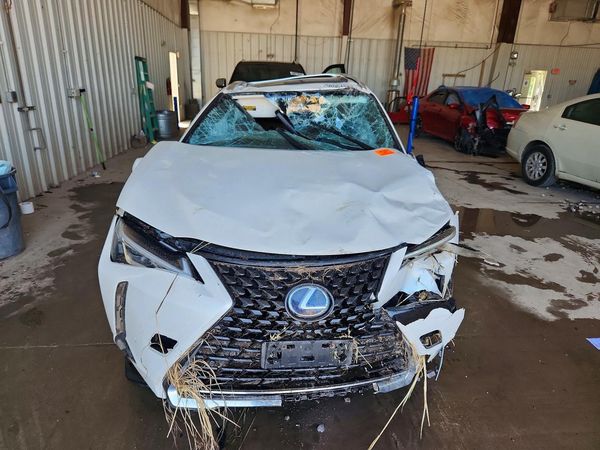 2019 LEXUS UX