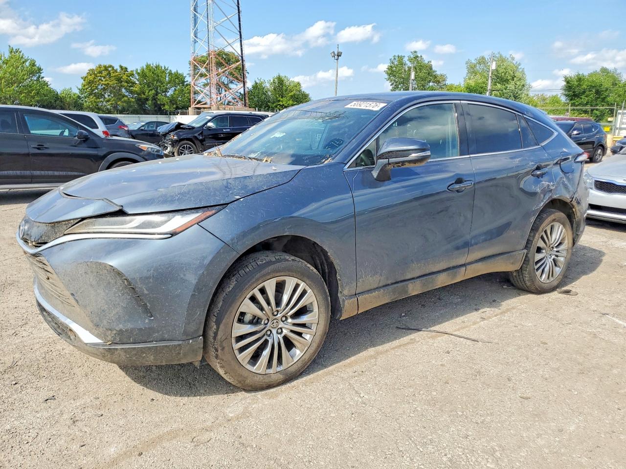 2024 TOYOTA VENZA