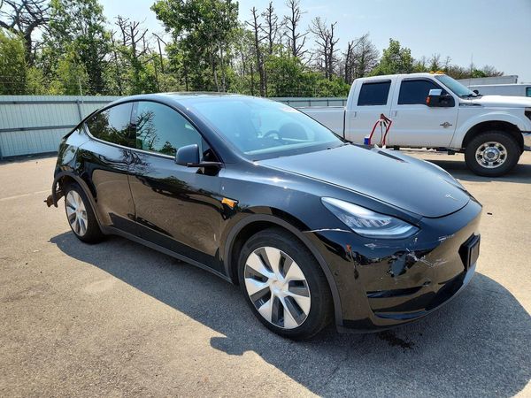 2020 TESLA MODEL Y
