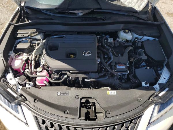 2025 LEXUS UX 300H